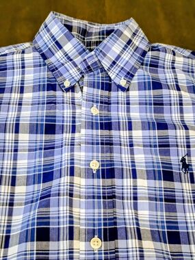 Polo by Ralph Lauren Blue and White Plaid Button-Down Shirt